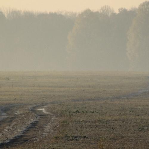 Photo #4844377