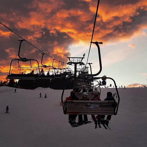Photo #4844608