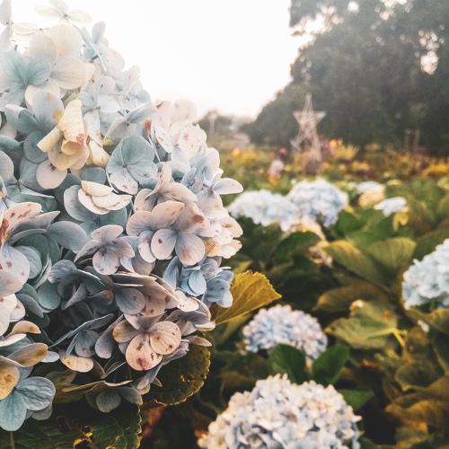 Photo #4844747