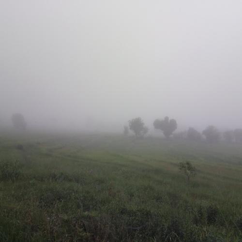 Photo #4845118