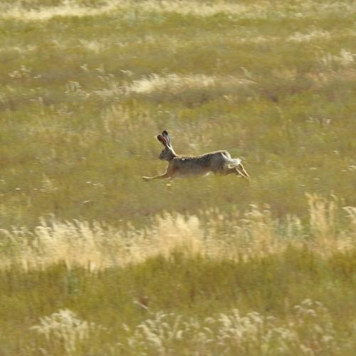 Photo #4845170