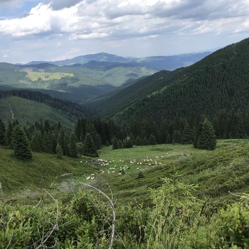 Photo #4845434