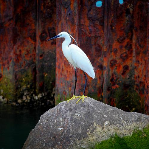 Photo #4845460