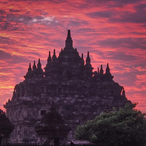 Photo #4845555