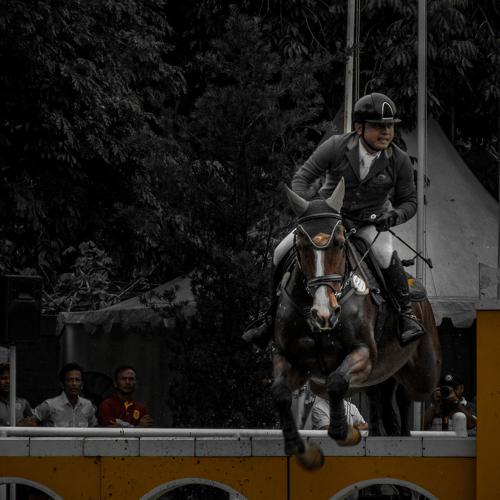 Photo #4846065