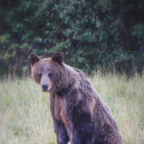 Photo #4846422