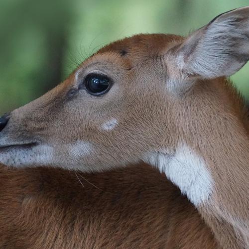 Photo #4846510