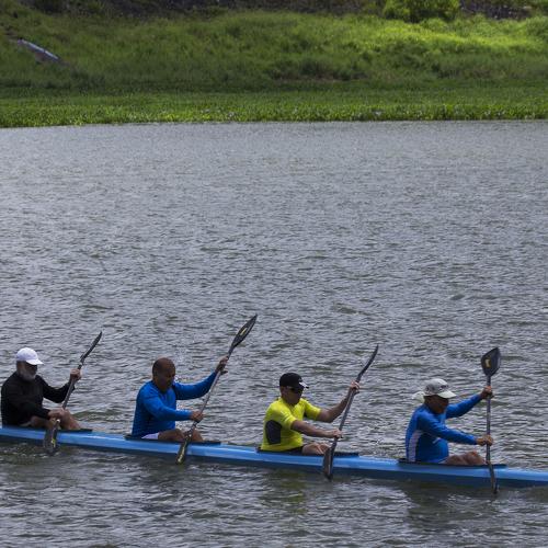 Photo #4846541