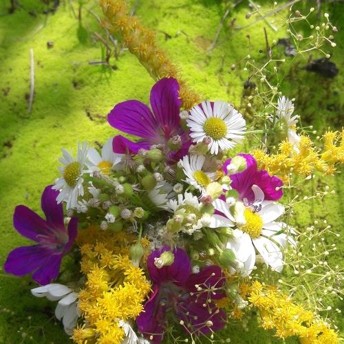 Photo #4846614