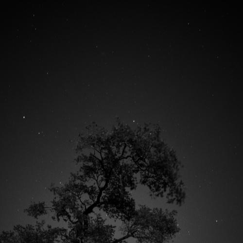 Photo #4846636