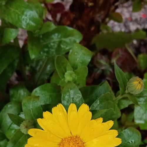 Photo #4846649