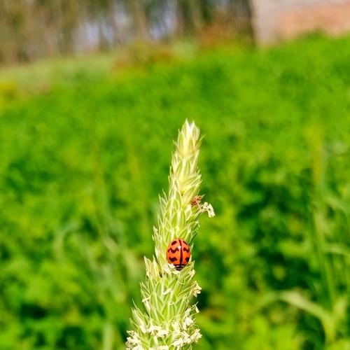 Photo #4846680