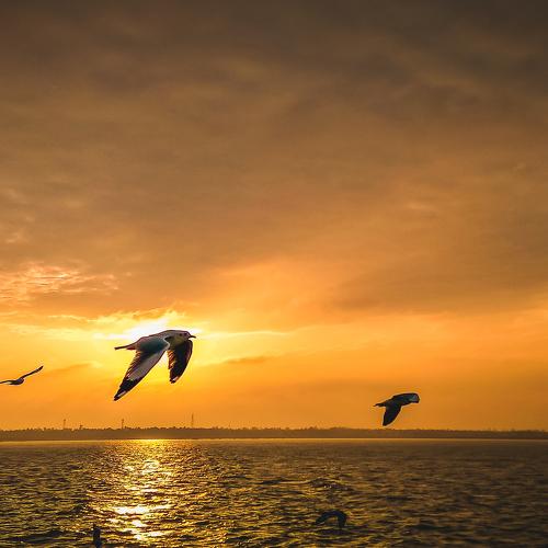 golden hour