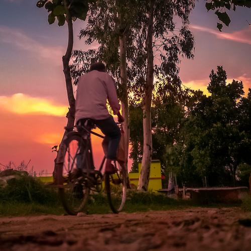 Photo #4846845
