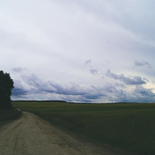 Photo #4847254