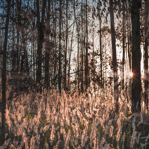 Photo #4847825