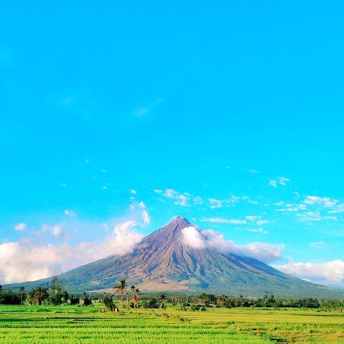 Photo #4847897