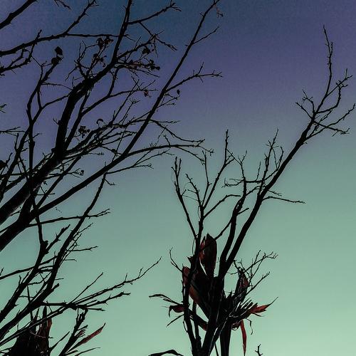Photo #4847901