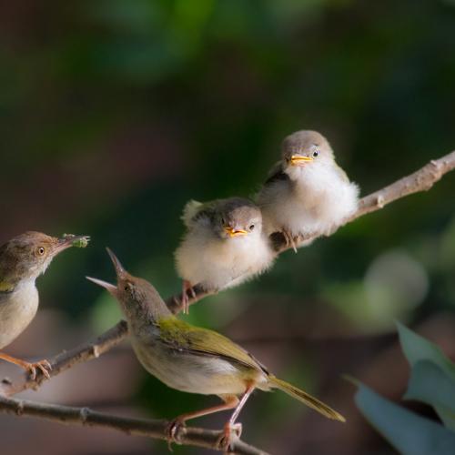 Photo #4847904