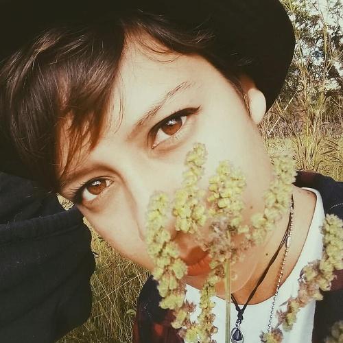 Photo #4847967