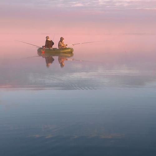 Photo #4848355