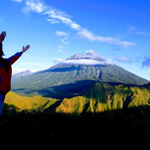 Pal Jepang Hill
