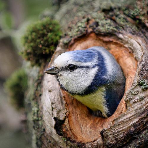 Photo #4849203