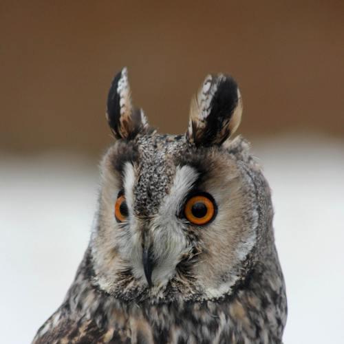 Photo #4849841