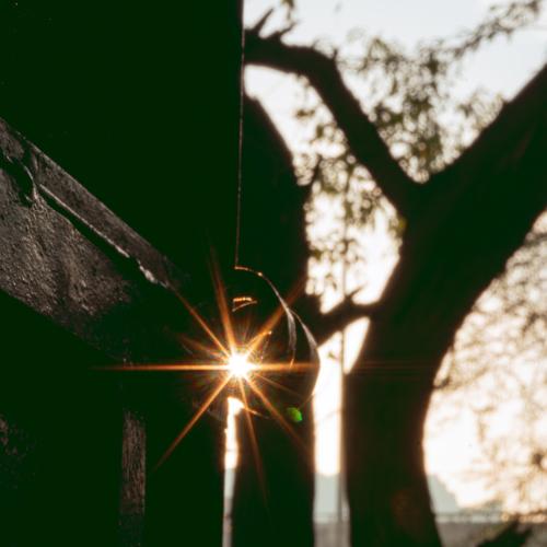 Photo #4850307