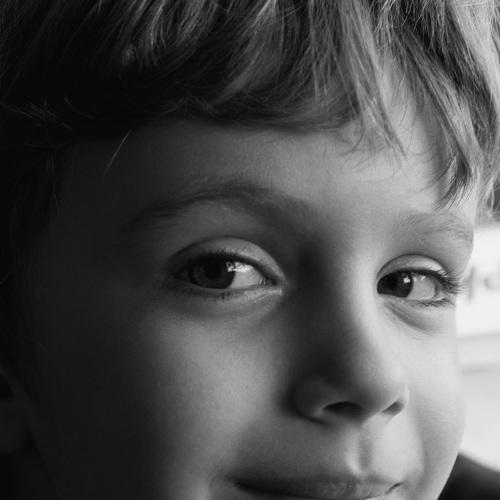 Photo #4850379