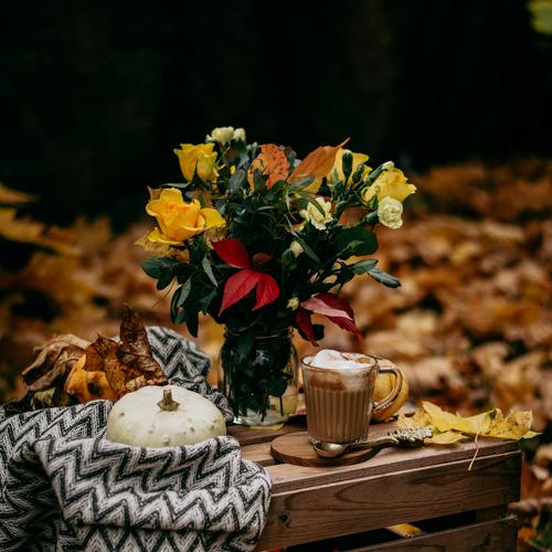 Photo #4851146