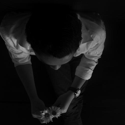Photo #4851152