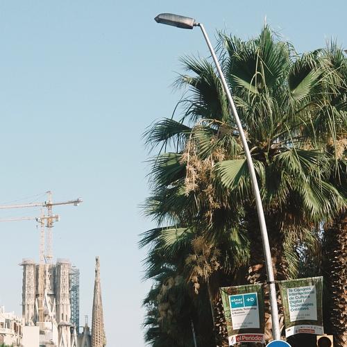 Photo #4851165