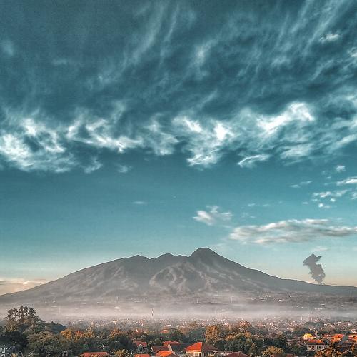 Photo #4851820