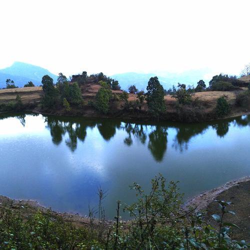 Photo #4851918