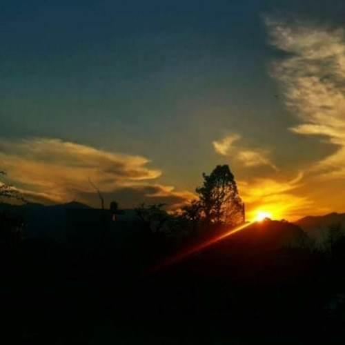Photo #4851920