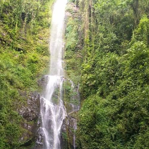 Photo #4851927