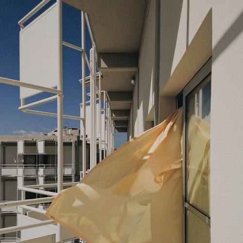 Photo #4852284