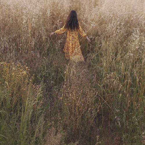 Photo #4852289