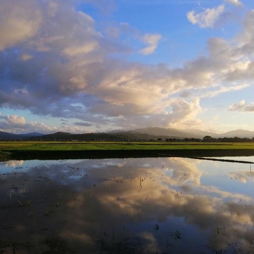 Photo #4852706