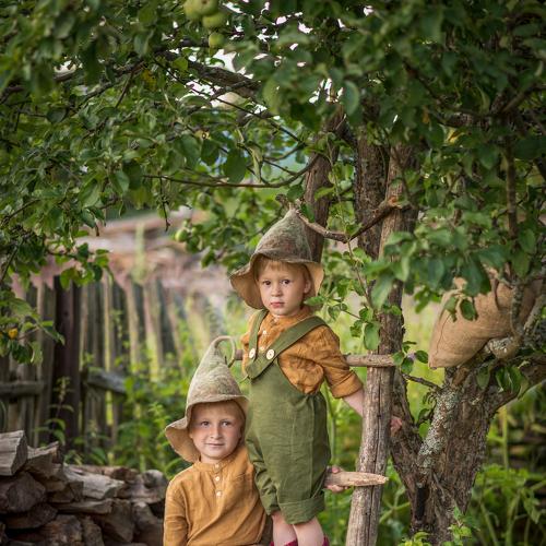 Photo #4853329