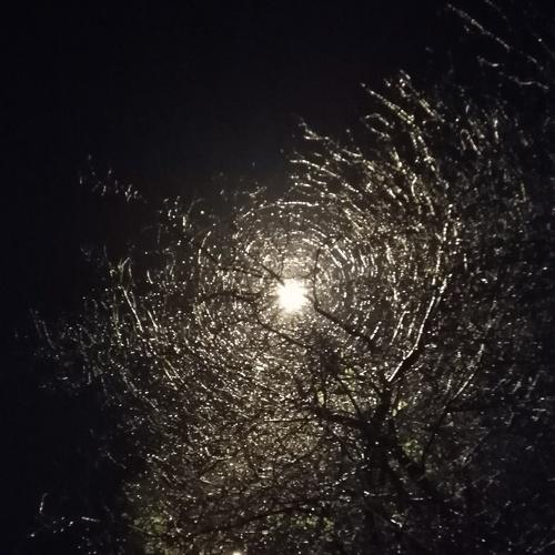 Photo #4853357