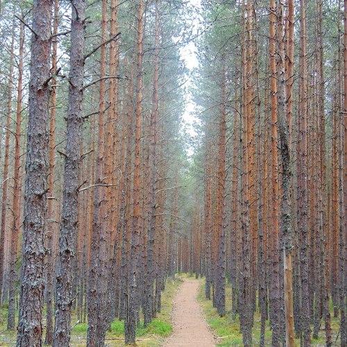 Photo #4853728