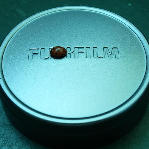 Photo #4854507