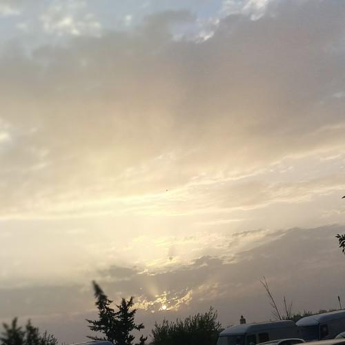 Photo #4854585