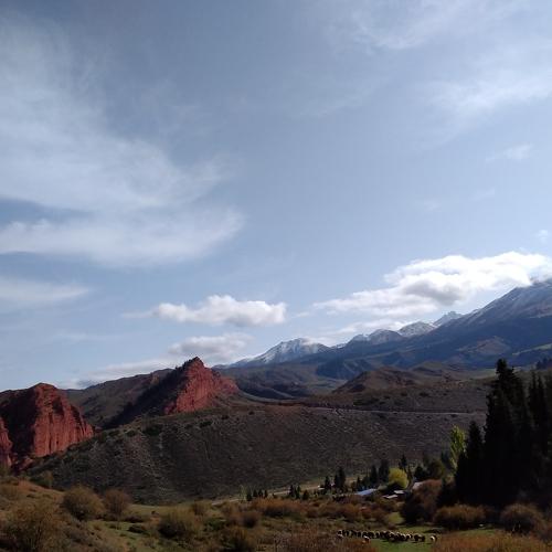 Photo #4854729