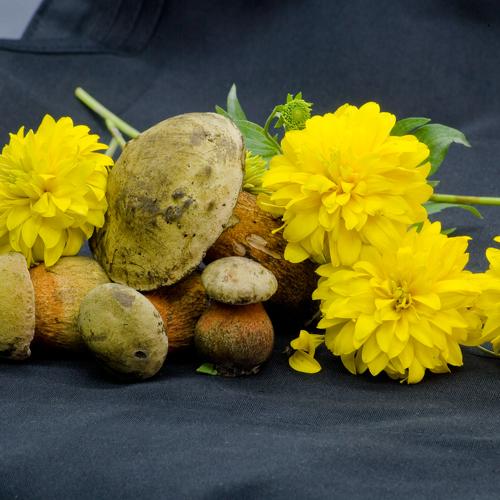 Photo #4854922