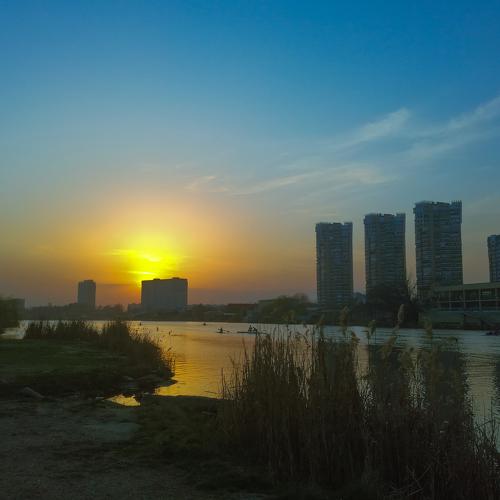 Photo #4855654