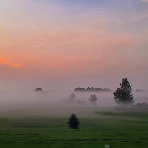 Photo #4855762