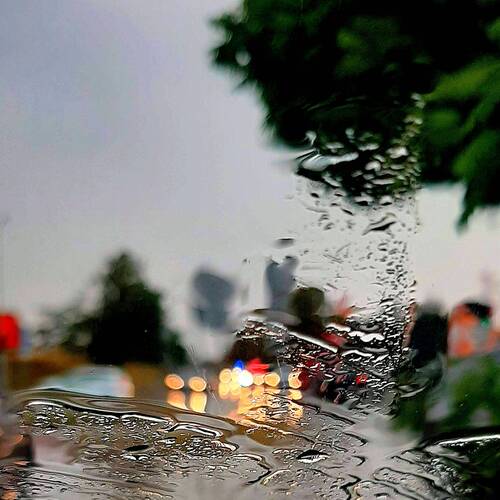 Photo #4855783